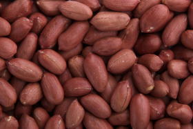 落花生_イメージ